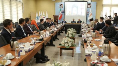 17446174813808I7A2146