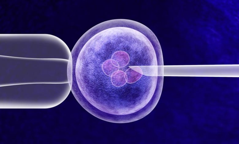 استخدام التقنيات الحديثة في علاج العقم في إيران 1 microfluidics