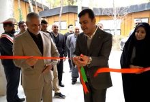 IMG 20260213 144330 799 crop 1