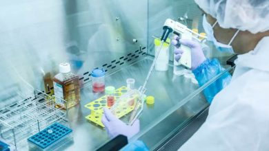 ارتقاء مكانة إيران العالمية في الطب التجديدي من المرتبة 12 إلى 7 11 cell crop