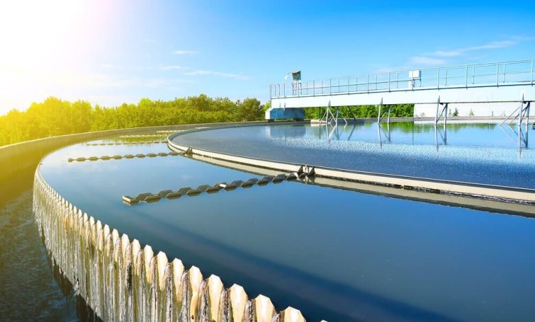 Iran’s nanobubble tech boosts efficiency, reduces mortality in aquaculture 1 171906404