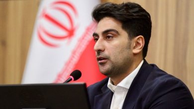 استفاده از ظرفیت متخصصان ایرانی غیرمقیم در زیستبوم فناوری و نوآوری کشور 24 4545 crop