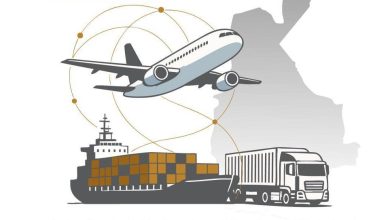 Untitled 1 2 crop crop