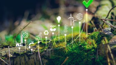 ارائه تازهترین دستاوردهای پژوهشی درباره سوختهای پاک 2 shutterstock 2276296645 0