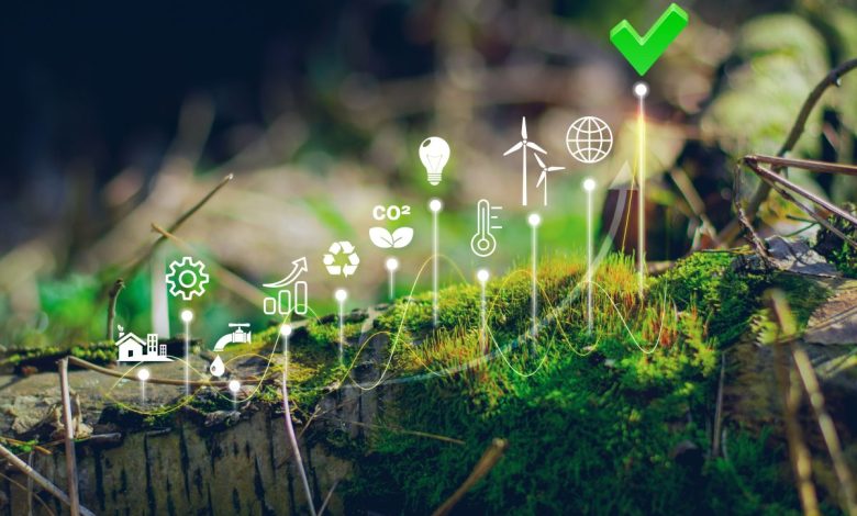 shutterstock 2276296645 0